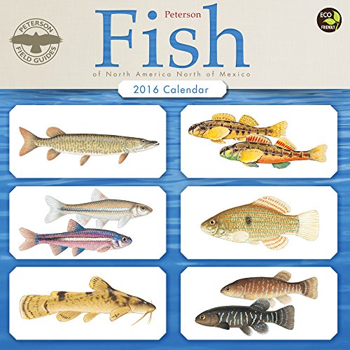 2016 Fish Wall Calendar