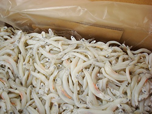 釜揚げしらす1ｋｇ！ 釜揚げしらす 釜揚げシラス