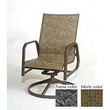 Siesta Aluminum Low Back Sling Swivel Rocker With Scavo Iron Frame And C0601 Fabric