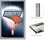 Silver Framed Charlotte Bobcats Logo Poster 5414