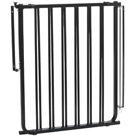 Cardinal Gates Stairway Special Gate