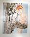 Birds of the 5th Continent Limited Edition 12 Picture Set w/Table of Contents and Protective Folder