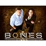 Bones Season 1