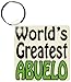 3dRose Worldâ€™s greatest Abuelo, Green - Key Chains, 2.25 x 4.5 inches, set of 2 (kc_159593_1)
