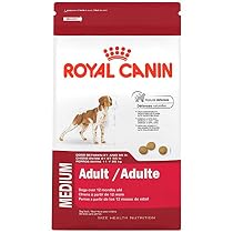 ROYAL CANIN SIZE HEALTH NUTRITION MEDIUM Adult dry dog food, 30-Pound

