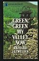 Green, Green My Valley Now