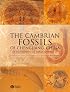 The Cambrian Fossils of Chengjiang, China: The Flowering of Early Animal Life