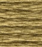 DMC Floss - 371 Mustard