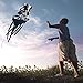 Kite for kids