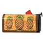 Pineapple Welcome Mailwrap�