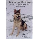 Kopek the Destroyer