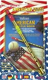 Learn to Play the American Penny Whistle Book/Instrument