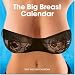 Big Book of Breasts (2009 Wall Calendar)