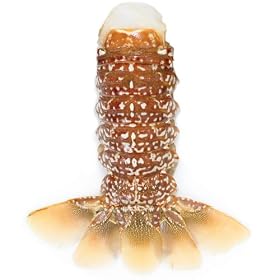 8-10 oz South African Lobster Tails