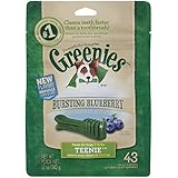 GREENIES Bursting Blueberry Dental Chews TEENIE Treats for Dogs - 12 oz.