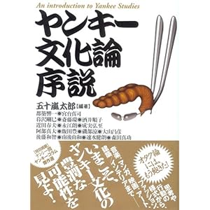ヤンキー文化論序説 