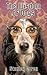 The Wisdom of Dogs