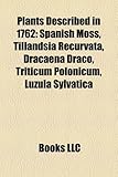 Plants Described in 1762: Spanish Moss, Tillandsia Recurvata, Dracaena Draco, Triticum Polonicum, Luzula Sylvatica-