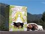 Maggie's Soap Nuts - 36 Loads