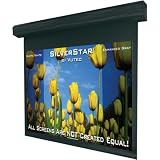 Lectric I RF Motorized Projection Screen