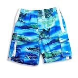 Dogwood -Boys Bathing Suit, Blue, Green