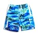 Dogwood -Boys Bathing Suit, Blue, Green