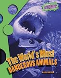 The world's most dangerous animals