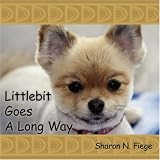 Littlebit Goes A Long Way