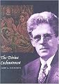 The Divine Enchantment (Paperback)