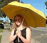 Fashion Sun Umbrella Regular