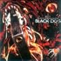 Hellsing OVA Series OST Black Dog