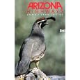 Arizona Highways (Back Issue Magazine) June 1990 (Bird Watching Odyssey, Volume 66 No. 6) by  Robert J. Early