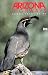 Arizona Highways (Back Issue Magazine) June 1990 (Bird Watching Odyssey, Volume 66 No. 6)