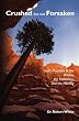 Crushed but not Forsaken: God's Promises to the Widow, the Fatherless, and the Hurting