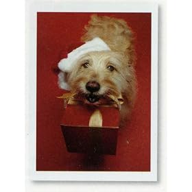Pet Lovers Holiday Christmas Greetings Cards - Puppy with a Gift for You - Set of 18