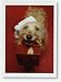 Pet Lovers Holiday Christmas Greetings Cards - Puppy with a Gift for You - Set of 18