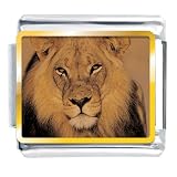 Animal Photo King Of The Jungle Lion Italian Charms Bracelet Link