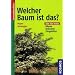 Welcher Baum ist das?: B�ume, Str�ucher, Ziergeh�lze