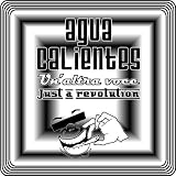Un`altra voce / Just a revolution