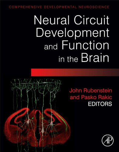 Neural Circuit Development and Function in the Healthy and Diseased Brain: Comprehensive Developmental Neuroscience