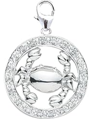 14K White Gold Diamond Zodiac-Cancer Charm