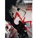 Reamonn - Raise your Hands (2 DVDs)