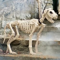 halloween skeleton dog on leash