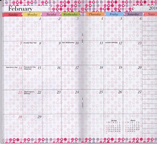 Lovett International 2015/2016 Two Year Planner, 6.75 X 3.75 (Seashells)