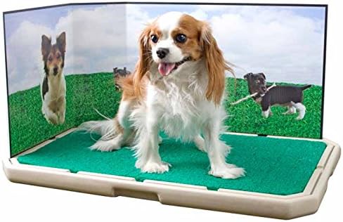 Piddle Place 19" x 30" x 1.75"