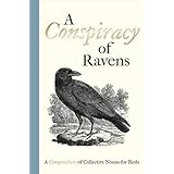 a conspiracy of ravens a compendium of collective nouns for birds