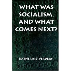 What Was Socialism, and What Comes Next? (Princeton Studies in Culture/Power/History)