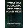 What Was Socialism, and What Comes Next? (Princeton Studies in Culture/Power/History)