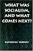 Book What Was Socialism, and What Comes Next?