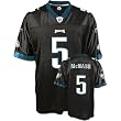 Donovan McNabb #5 Philadelphia Eagles Youth NFL Replica Player Jersey (Black)